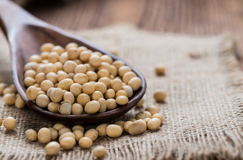 como invertir en soja